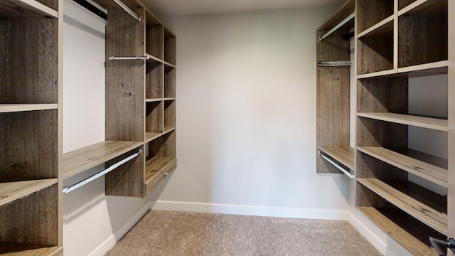 2330 9th St W, Albert Lea, MN 56007 - spacious closet with carpet flooring