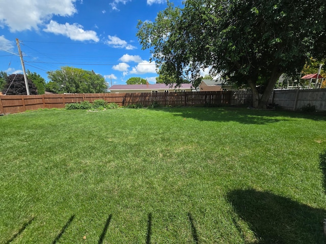 1101 7th Ave SW, Pipestone, MN 56164 - view of fenced backyard