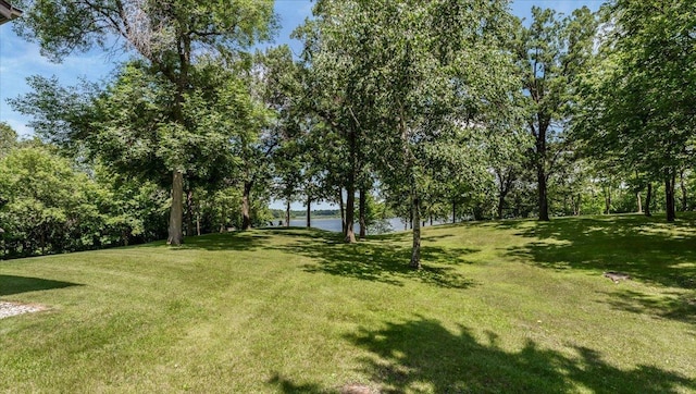 11824 Ada Trl, Sauk Centre, MN 56378 - photo 43