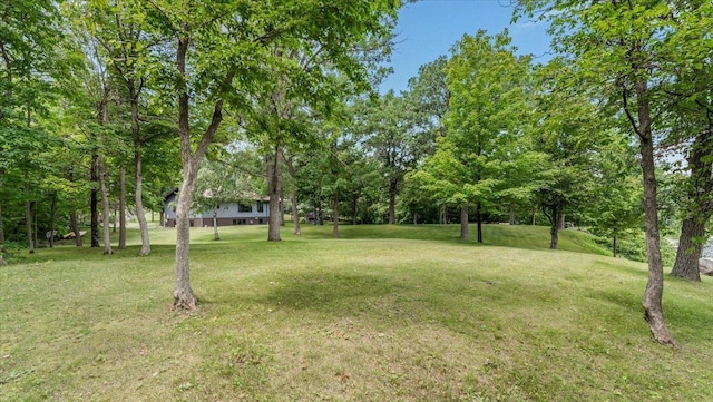 11824 Ada Trl, Sauk Centre, MN 56378 - photo 50