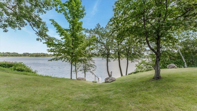 11824 Ada Trl, Sauk Centre, MN 56378 - photo 51