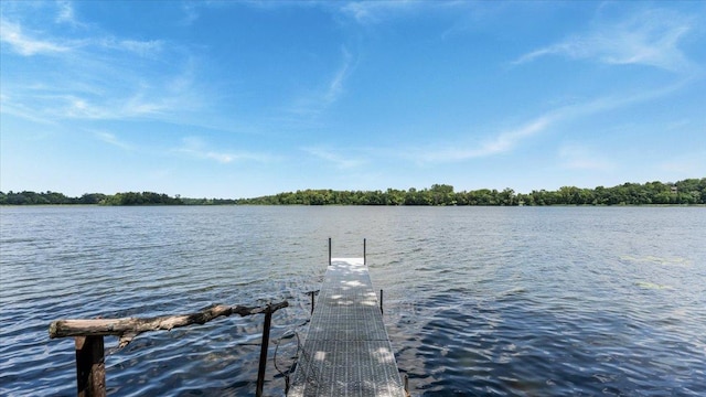 11824 Ada Trl, Sauk Centre, MN 56378 - photo 58