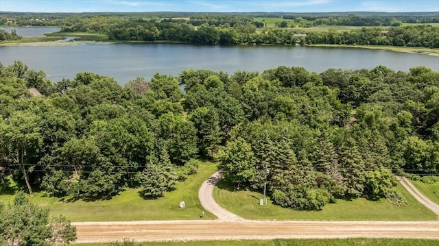 11824 Ada Trl, Sauk Centre, MN 56378 - photo 61