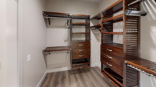2329 9th St W, Albert Lea, MN 56007 - walk in closet featuring dark wood-type flooring