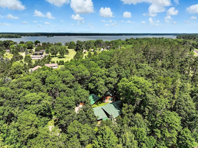 34590 Park Dr, Crosslake, MN 56442 - photo 2