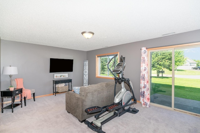 9742 Saint Andrews Dr, Elko New Market, MN 55020 - workout room with light carpet and a textured ceiling