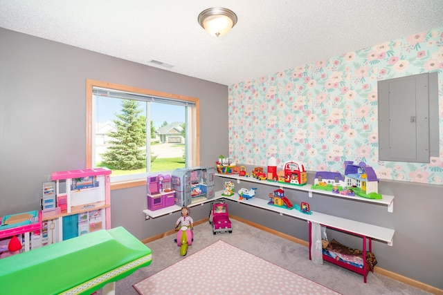 9742 Saint Andrews Dr, Elko New Market, MN 55020 - playroom featuring electric panel, wallpapered walls, a textured ceiling, and carpet