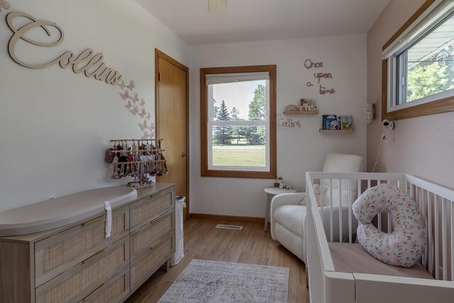 385 Lexington Ave, Le Center, MN 56057 - bedroom featuring light wood-style flooring and a crib