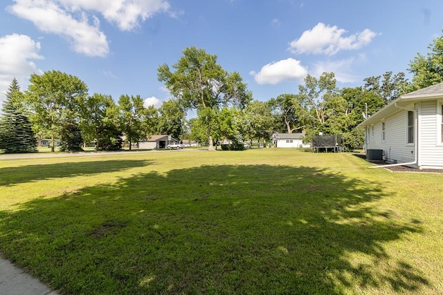 385 Lexington Ave, Le Center, MN 56057 - view of green lawn featuring a trampoline