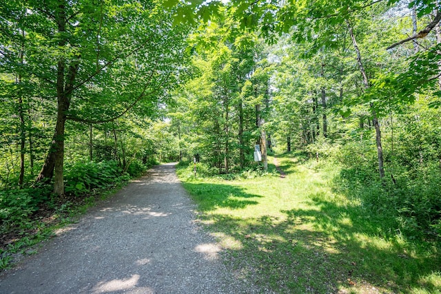 430 Hartley Pl, Duluth, MN 55803 - photo 38