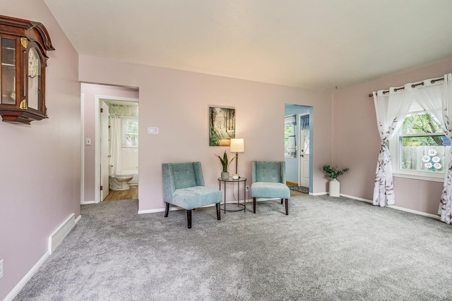 536 County Road J W, Shoreview, MN 55126 - living area with carpet floors and plenty of natural light