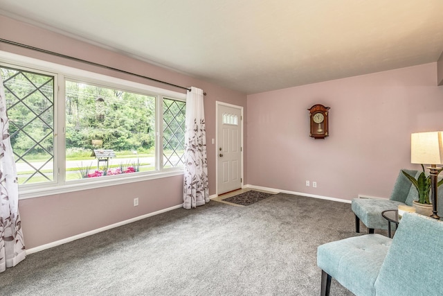 536 County Road J W, Shoreview, MN 55126 - carpeted entryway featuring healthy amount of natural light