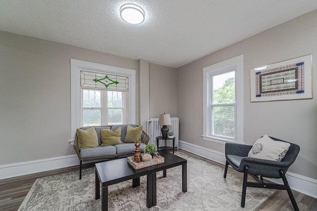 2156 Saint Anthony Ave, Saint Paul, MN 55104 - living area with radiator, wood finished floors, and a textured ceiling