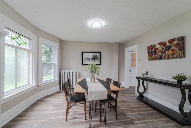 2156 Saint Anthony Ave, Saint Paul, MN 55104 - dining area with radiator heating unit, a textured ceiling, and dark wood-type flooring