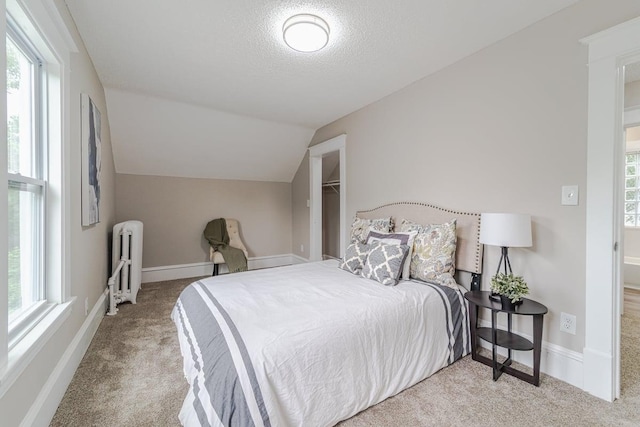 2156 Saint Anthony Ave, Saint Paul, MN 55104 - bedroom featuring radiator heating unit, carpet, lofted ceiling, a textured ceiling, and a walk in closet