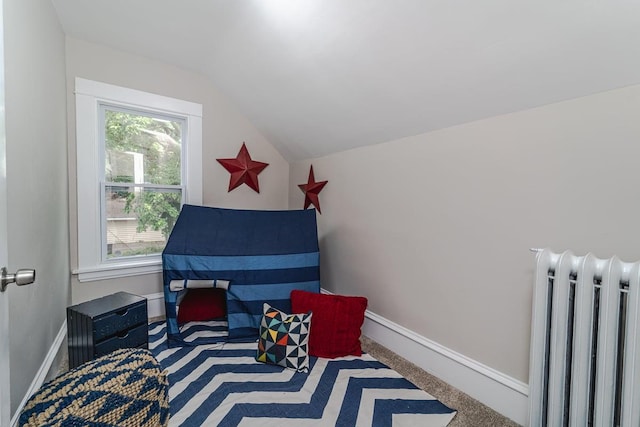 2156 Saint Anthony Ave, Saint Paul, MN 55104 - recreation room with radiator and lofted ceiling