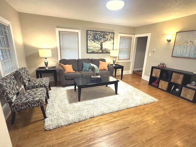 1699 Malvern St, Lauderdale, MN 55113 - living room featuring wood-type flooring and baseboards