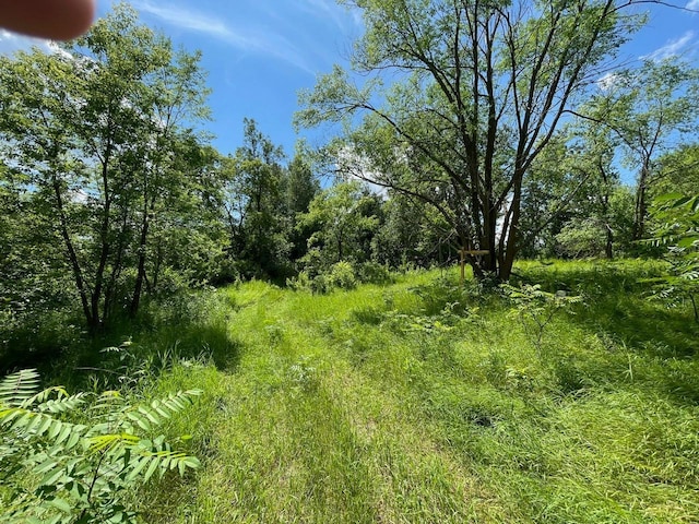 TBD River St, Pillager, MN 56473