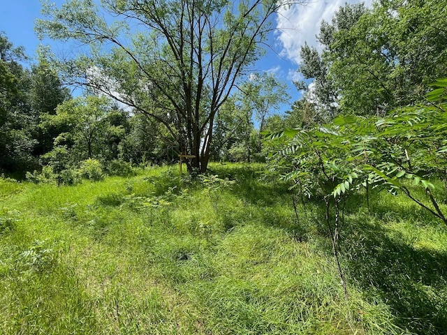 TBD River St, Pillager, MN 56473