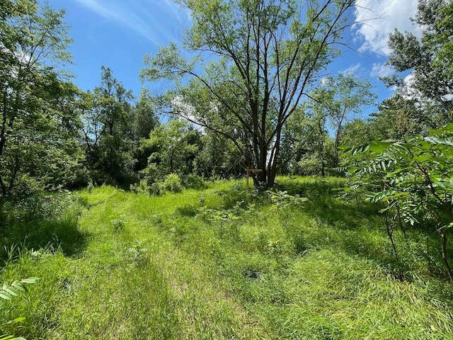 TBD River St, Pillager, MN 56473