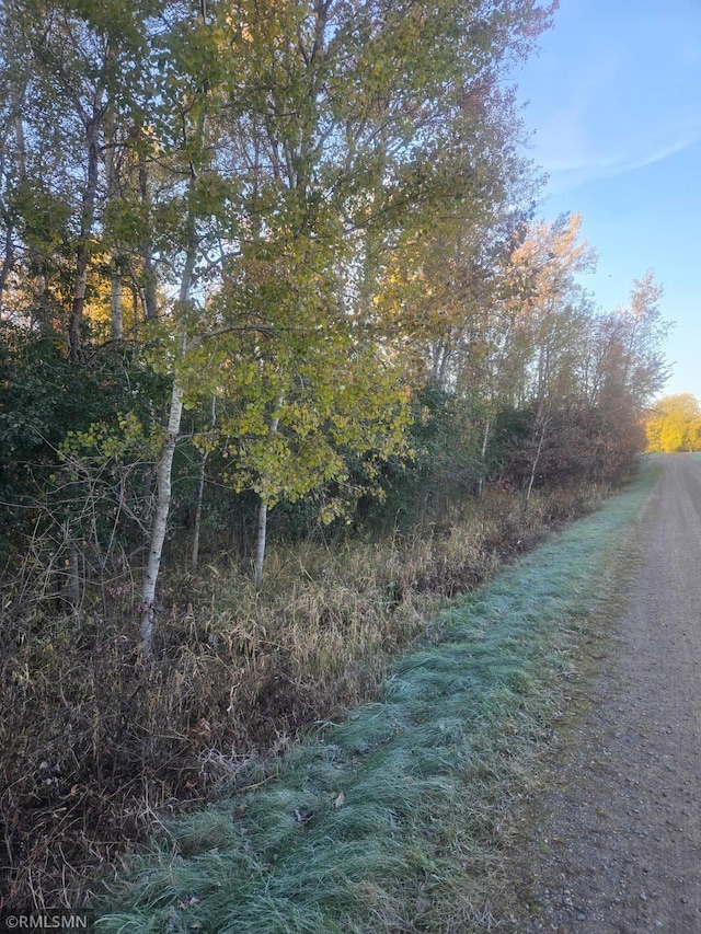 142XX 80th St NE, Foley, MN 56329 - photo 3