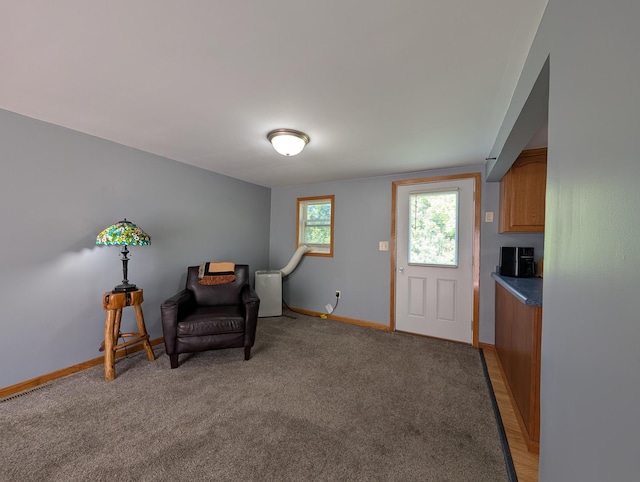202 Hill St, Russell, MN 56169 - living area featuring baseboards and light carpet
