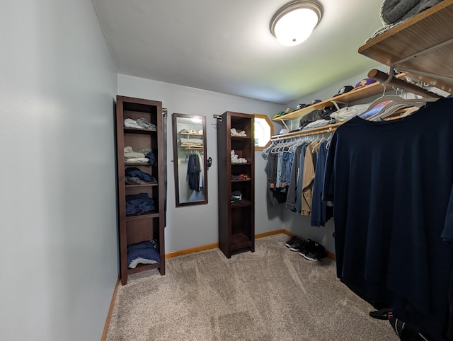 202 Hill St, Russell, MN 56169 - walk in closet with carpet floors