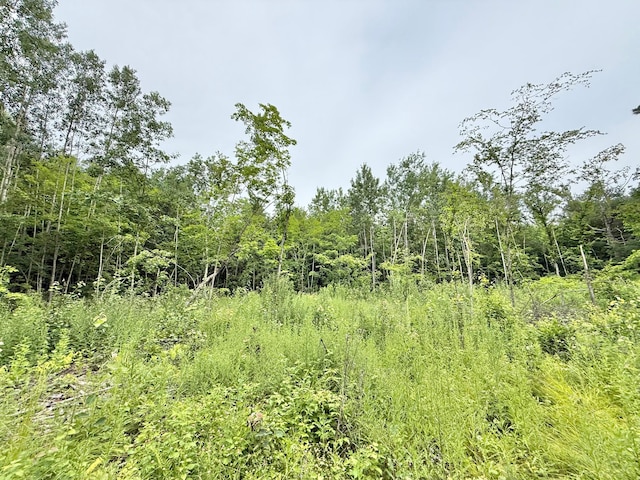 Listing photo 35 - caption unavailable