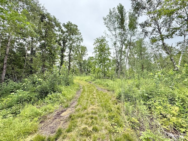 Listing photo 38 - caption unavailable