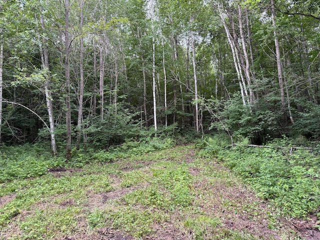 Listing photo 53 - caption unavailable