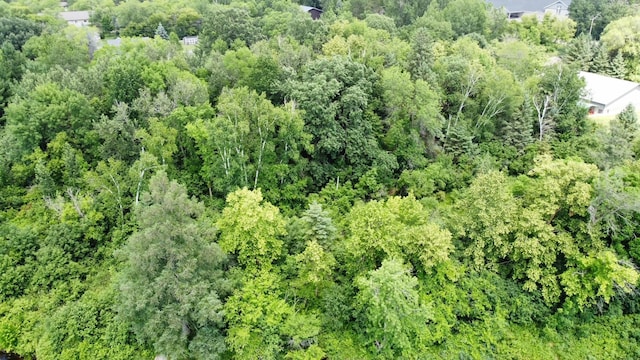 TBD 2nd St, Pillager, MN 56473
