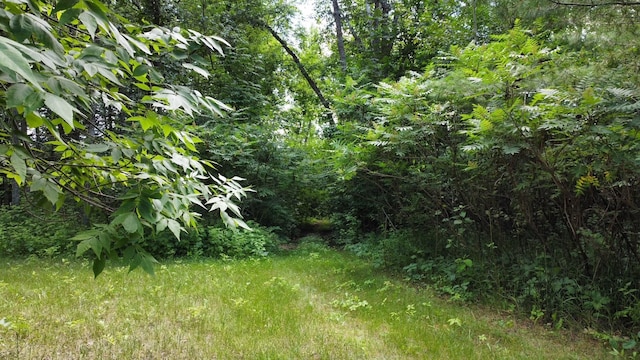 TBD 2nd St, Pillager, MN 56473