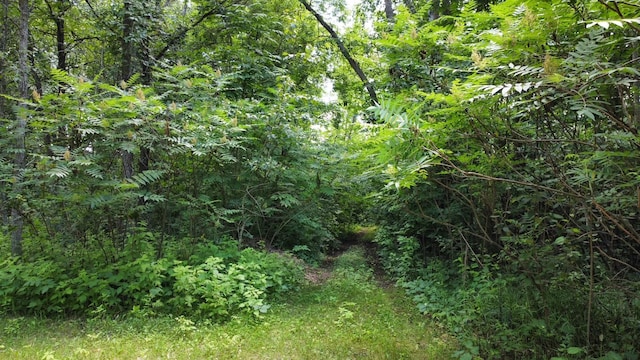 TBD 2nd St, Pillager, MN 56473