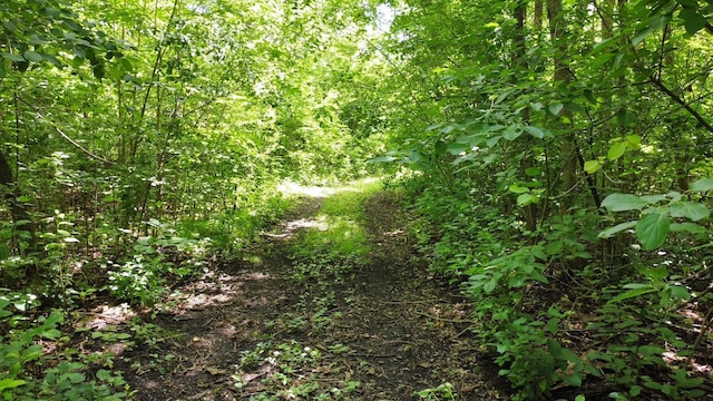 TBD 2nd St, Pillager, MN 56473