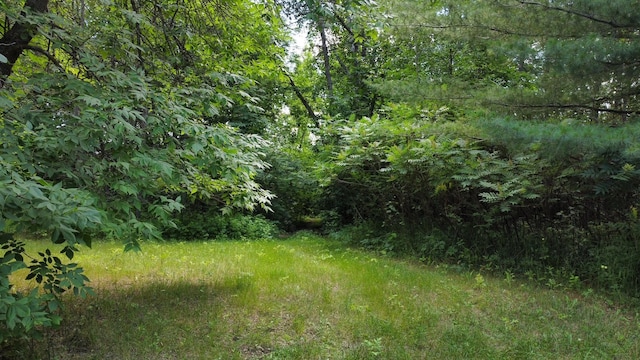 TBD 2nd St, Pillager, MN 56473
