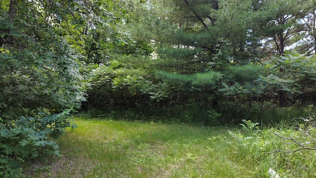 TBD 2nd St, Pillager, MN 56473