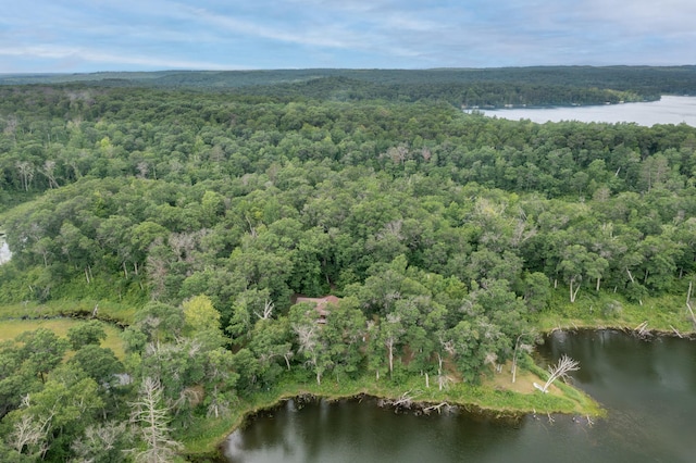 2119 Lake Ridge Dr SW, Pillager, MN 56473 - photo 1