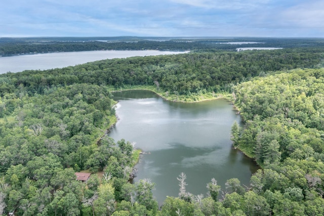 2119 Lake Ridge Dr SW, Pillager, MN 56473 - photo 2