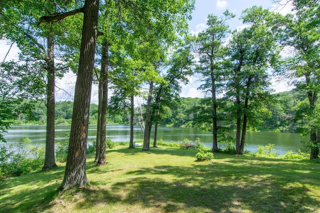 2119 Lake Ridge Dr SW, Pillager, MN 56473 - photo 7