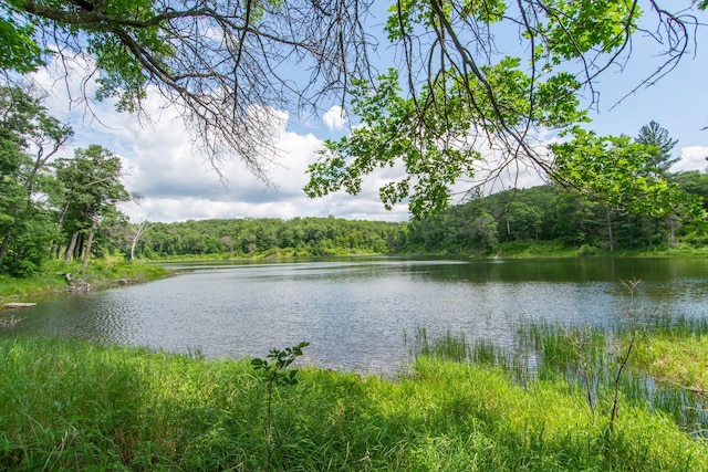 2119 Lake Ridge Dr SW, Pillager, MN 56473 - photo 11
