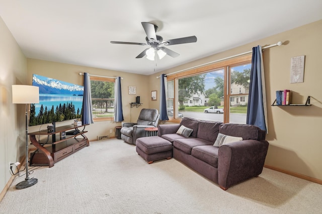 509 Park St S, Fairfax, MN 55332 - photo 6