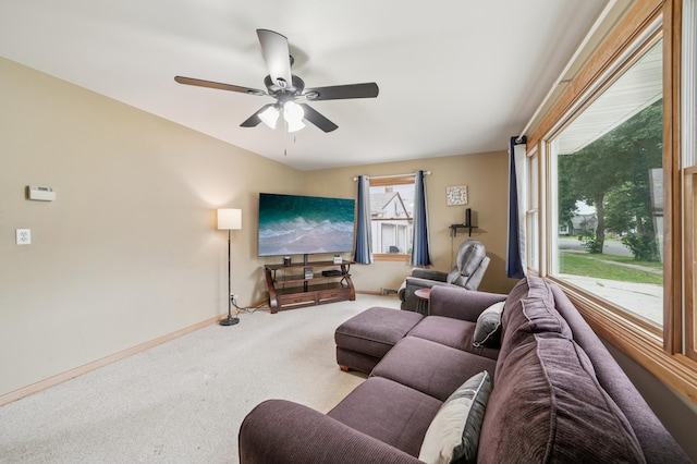 509 Park St S, Fairfax, MN 55332 - photo 7