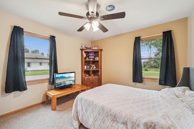 509 Park St S, Fairfax, MN 55332 - photo 8