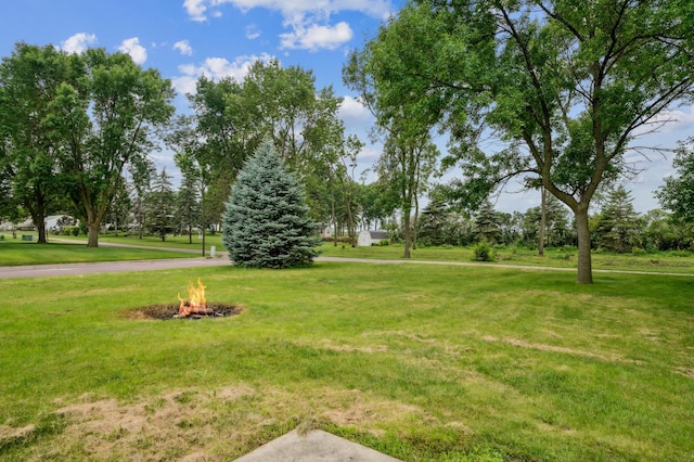 509 Park St S, Fairfax, MN 55332 - photo 19