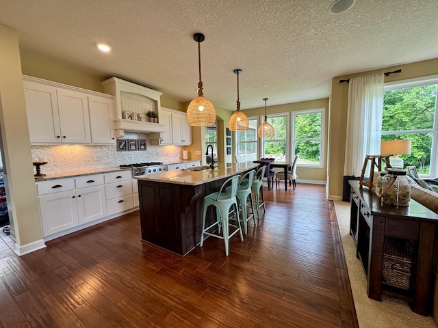 8418 Krey Lake Ct, Victoria, MN 55386 - photo 5