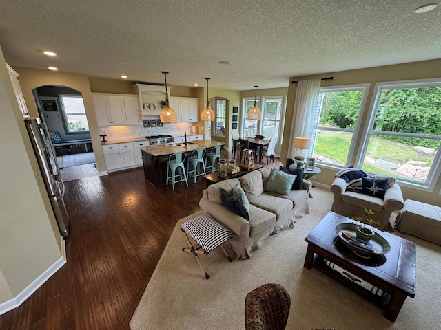 8418 Krey Lake Ct, Victoria, MN 55386 - photo 9