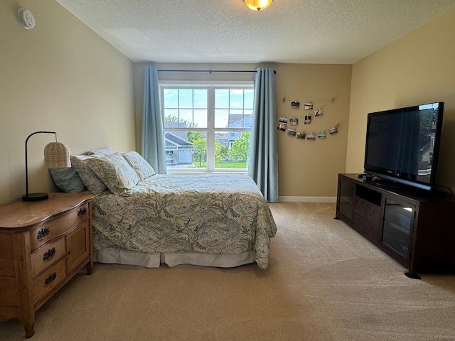 8418 Krey Lake Ct, Victoria, MN 55386 - photo 25