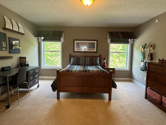 8418 Krey Lake Ct, Victoria, MN 55386 - photo 26