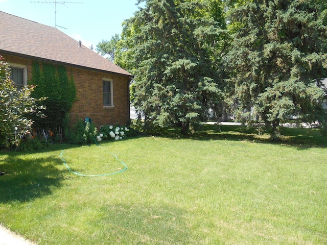 354 1st St, Gaylord, MN 55334 - photo 7
