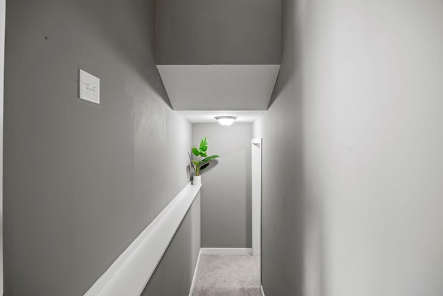 13143 Jefferson St, Becker, MN 55308 - stairs featuring carpet floors and baseboards